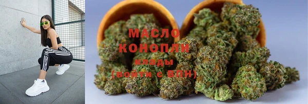 гидра Богородицк