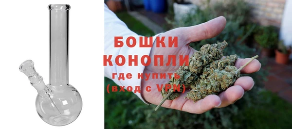 гидра Богородицк