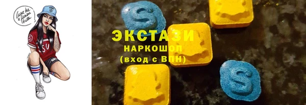 гидра Богородицк