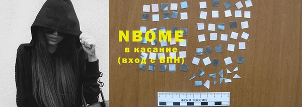 гидра Богородицк