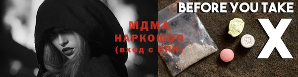 гидра Богородицк