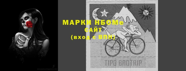 твердый Богданович