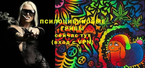 гидра Богородицк