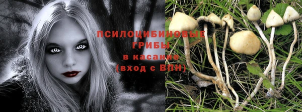 твердый Богданович