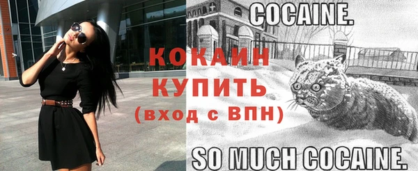твердый Богданович