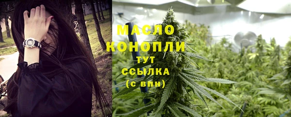 твердый Богданович