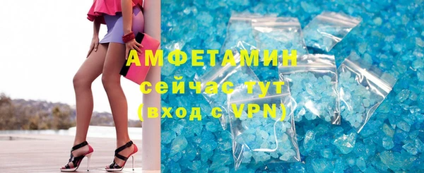 гидра Богородицк