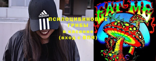 гидра Богородицк