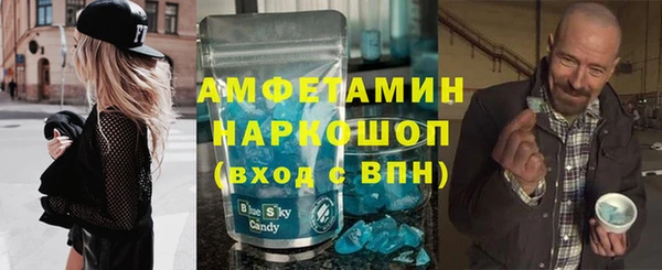 гидра Богородицк