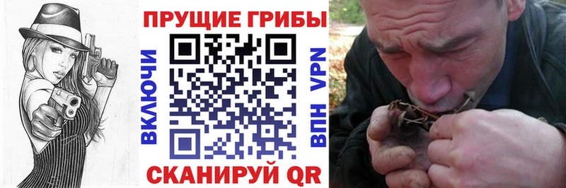 что такое наркотик  Набережные Челны  Галлюциногенные грибы GOLDEN TEACHER 